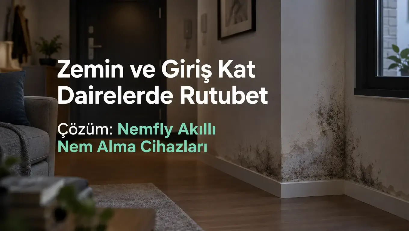 Zemin ve Bodrum Katı Dairelerde Rutubet Neden Bitmez?